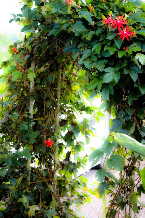 Pondok Plantation Luxury Mountain Escape Bedugul Бедуґул Екстер'єр фото